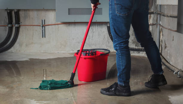 Best Professional water damage repair  in Oxford, OH