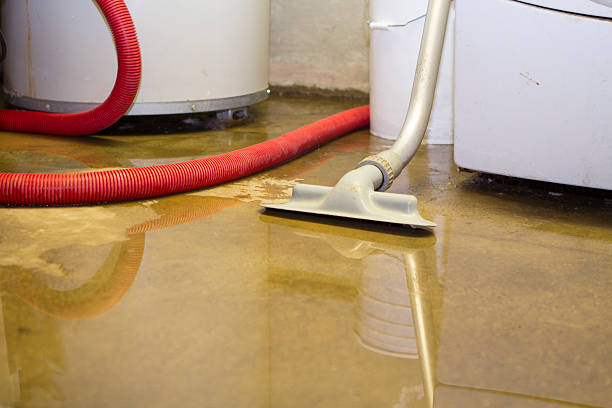 Best Fire Damage Restoration  in Oxford, OH