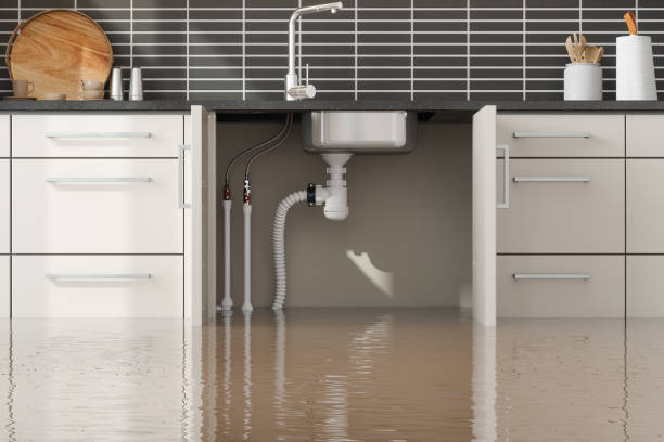 Best Flood restoration services  in Oxford, OH